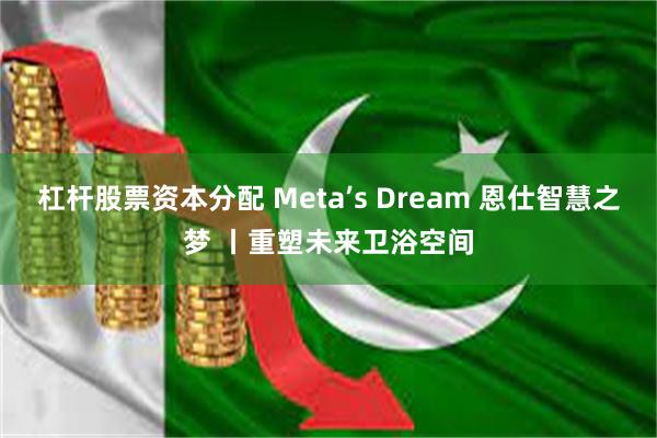 杠杆股票资本分配 Meta’s Dream 恩仕智慧之梦 丨重塑未来卫浴空间