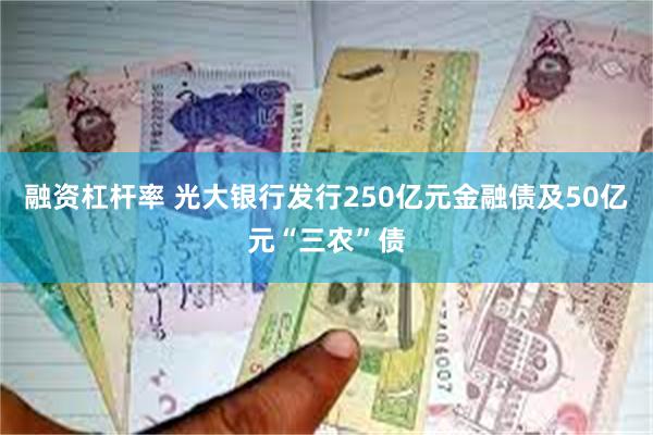 融资杠杆率 光大银行发行250亿元金融债及50亿元“三农”债