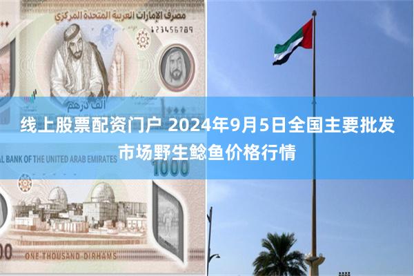 线上股票配资门户 2024年9月5日全国主要批发市场野生鲶鱼价格行情