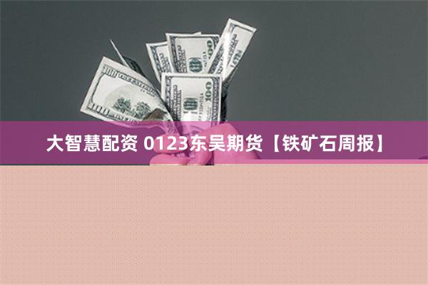 大智慧配资 0123东吴期货【铁矿石周报】