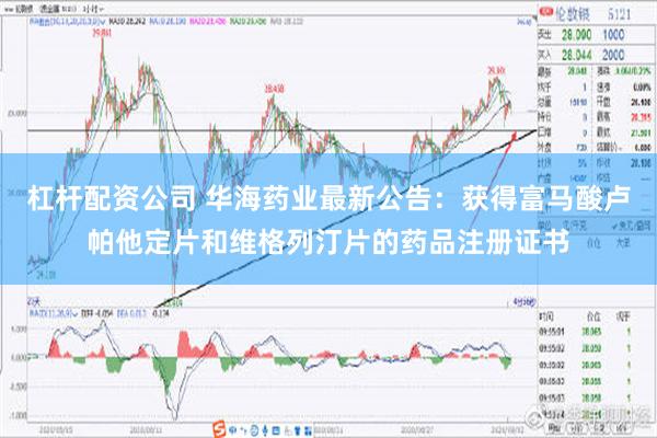 杠杆配资公司 华海药业最新公告：获得富马酸卢帕他定片和维格列汀片的药品注册证书