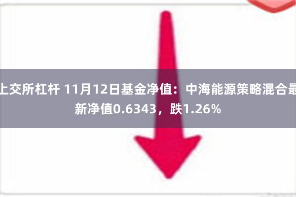 上交所杠杆 11月12日基金净值：中海能源策略混合最新净值0.6343，跌1.26%