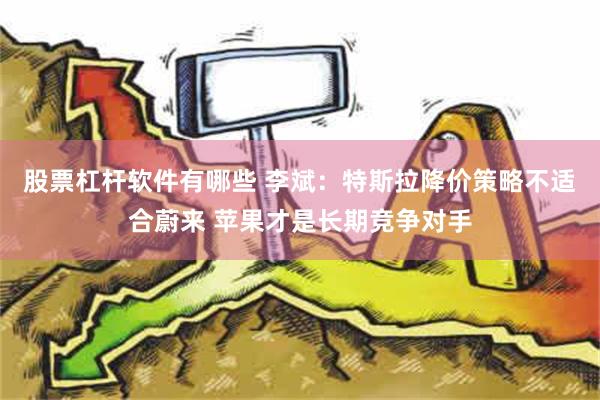 股票杠杆软件有哪些 李斌：特斯拉降价策略不适合蔚来 苹果才是长期竞争对手